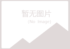 东兰县山柳工程有限公司